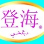 昌吉州登海种业有限公司ico