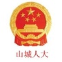 山城人大ico
