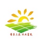岚山农业农村ico