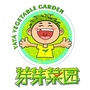 芽芽菜园公众号ico