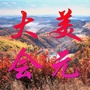大美会元ico