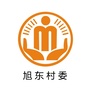 坪山旭东阳光村务ico