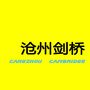 沧州剑桥ico