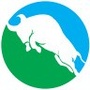 青牛智能科技公众号ico