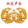 双龙声乐ico