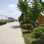 东平村ico