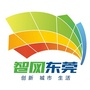 智网大岭山ico