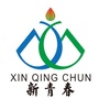 三八新青春ico