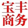 河南宝丰商务ico