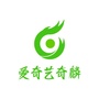 爱奇艺奇麟ico