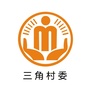 白家三角阳光村务ico