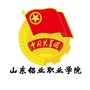 山东铝业职业学院团委公众号ico