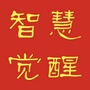 智慧觉醒文化传播ico