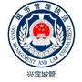 兴宾城管ico