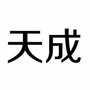 天成在路上ico