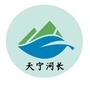 天宁河长ico