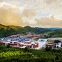 美丽照金ico