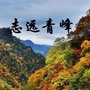 志远青峰职教培训中心ico