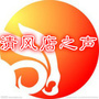清风店之声ico