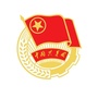 武汉路办事处团工委ico
