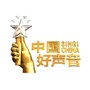 中国好声音金华赛区组委会ico