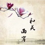 和美西岸ico