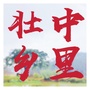 壮乡中里ico