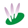 采荷妇联ico