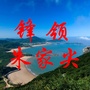 锋领朱家尖ico