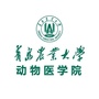 青岛农业大学动物医学院ico