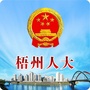 梧州人大ico