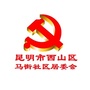 马街社区居委会公众号ico