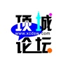 项城论坛ico