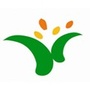 大沥镇黄岐小学公众号ico