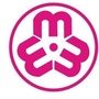 巾帼顺庆ico