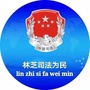 林芝司法为民ico