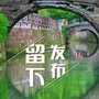 留下发布ico