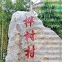 魅力桦树ico