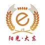 阳光大东ico