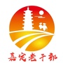 嘉定老干部ico