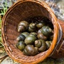 柳州美食旅游ico
