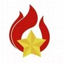 辽宁星星火炬ico