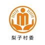 周嘉梨子阳光村务ico