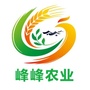 峰峰农业ico