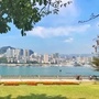 江左杨郎公众号ico