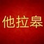 他拉皋镇人民政府ico