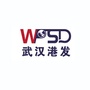 武汉港发集团ico