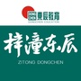 梓潼东辰国际学校ico