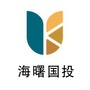 海曙国投ico