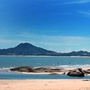海港小哥海鲜直供ico